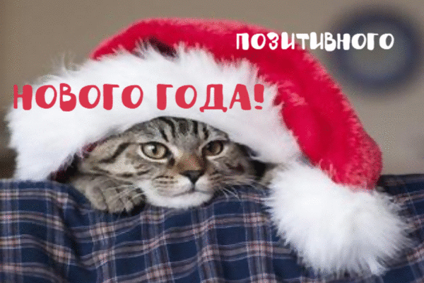 Позитивного Нового года!