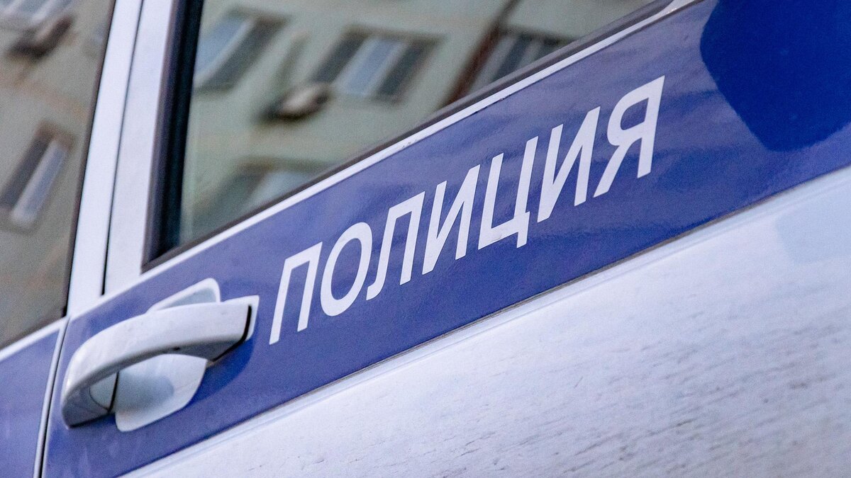    Фото: Oleg Spiridonov/globallookpress.com