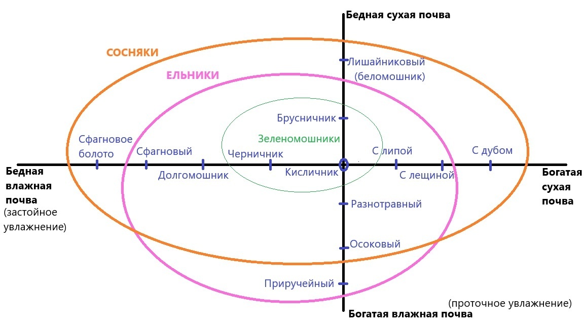 Сукачевский крест для европейской тайги
