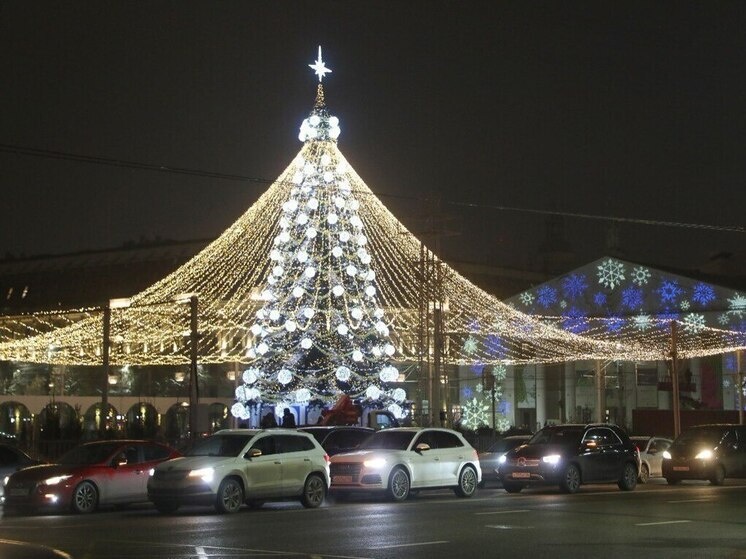     Фото: пресс-служба администрации Воронежа