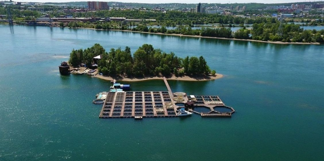 Фото: сайт Иркутская форель