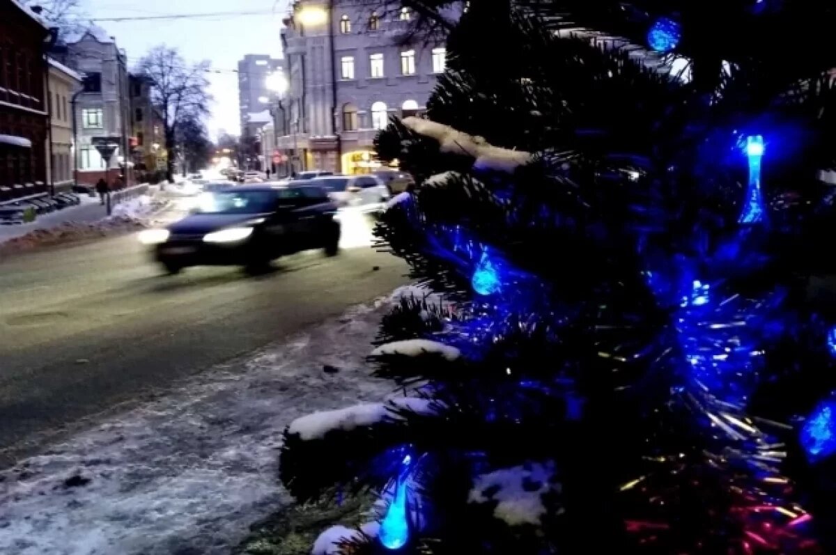    Опубликован прогноз погоды в Рязанской области на новогоднюю ночь