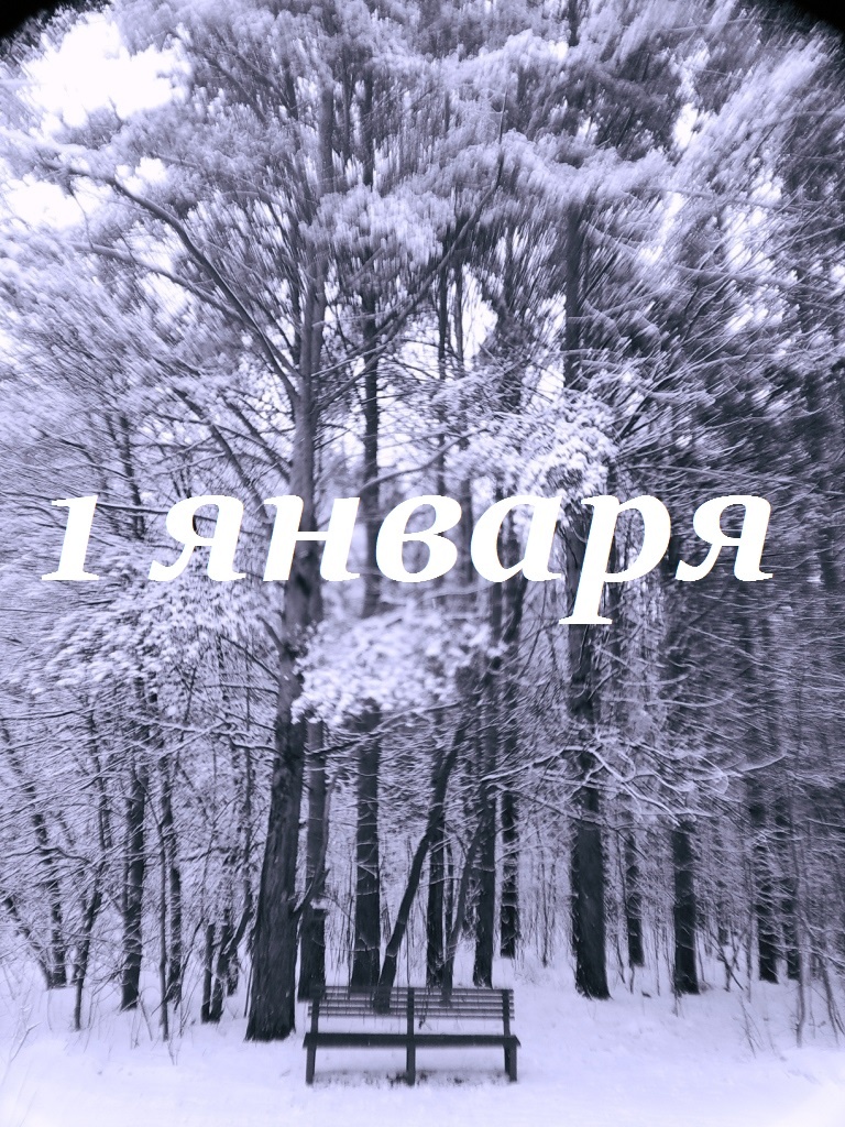 Ощущения налогоплательщика, навеянные ожиданием очередного года и Бёрном, выражу словами: В моей душе покоя нет. Всё время жду чего-то. Зимой встречаю я рассвет. И всё из-за кого-то. Фото автора.