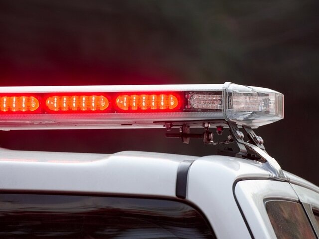    Фото: 123RF.com/toa55