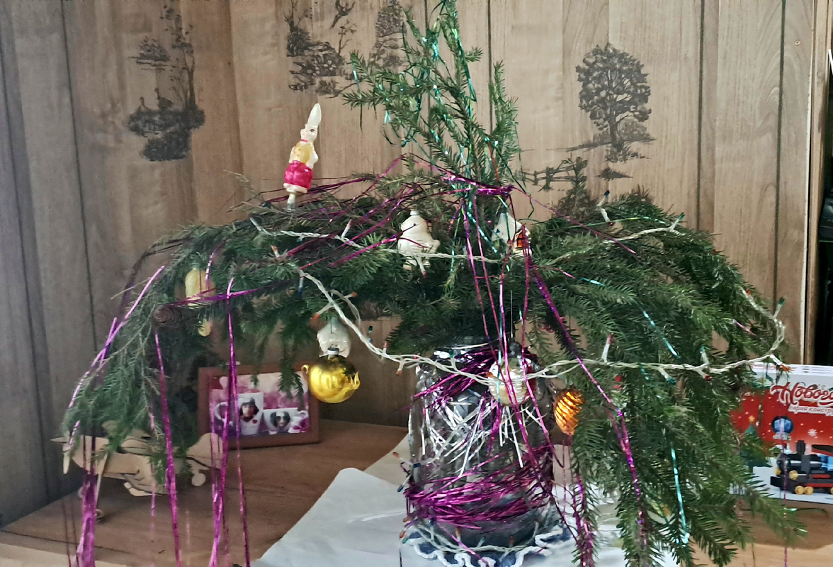 Примерно это выглядело так😁 (здесь и далее все фото сделаны автором статьи)