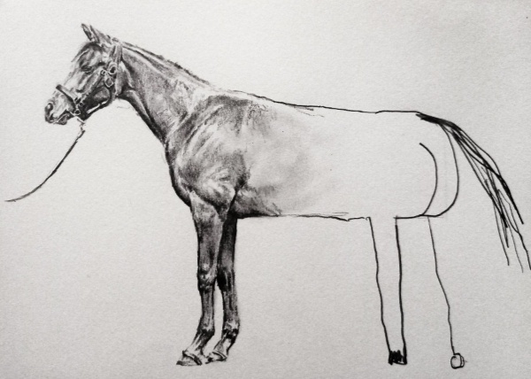 "год лошади", говорите? Ну-ну... 🙄🤔