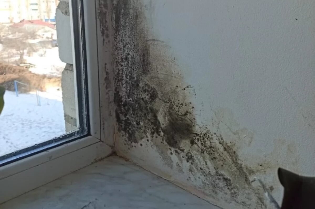    Убийца на окне.