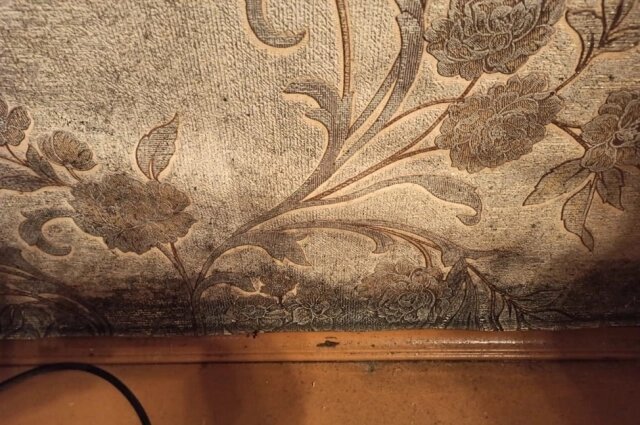    Фото: Роспотребнадзор по Красноярскому краю