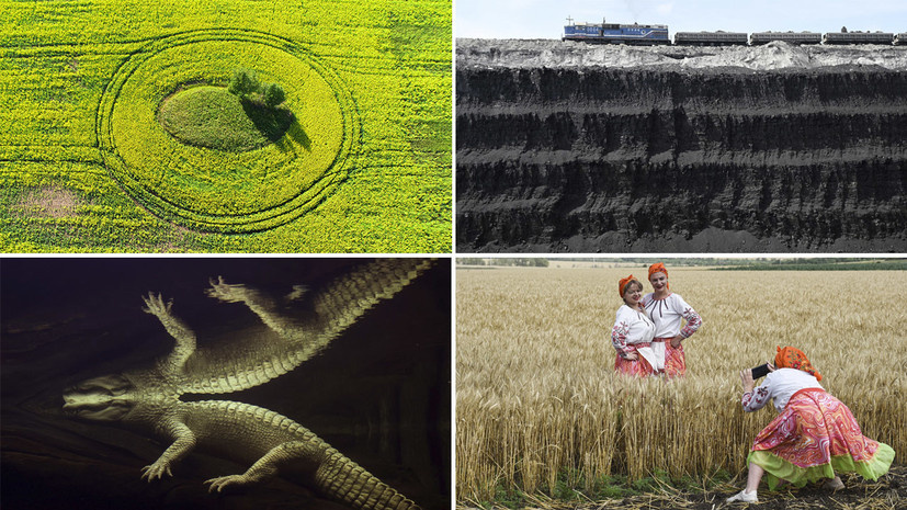    РИА Новости / Gettyimages.ru