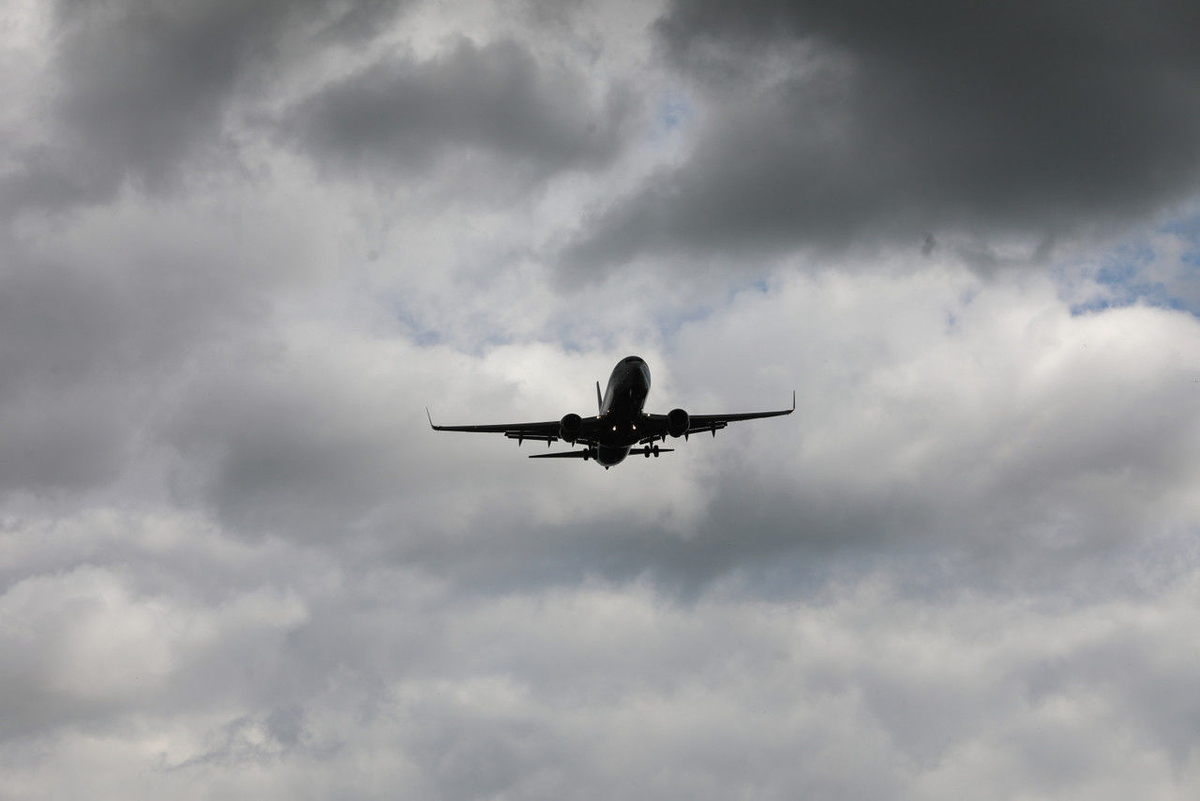 Роман Пименов / «Петербургский дневник»
