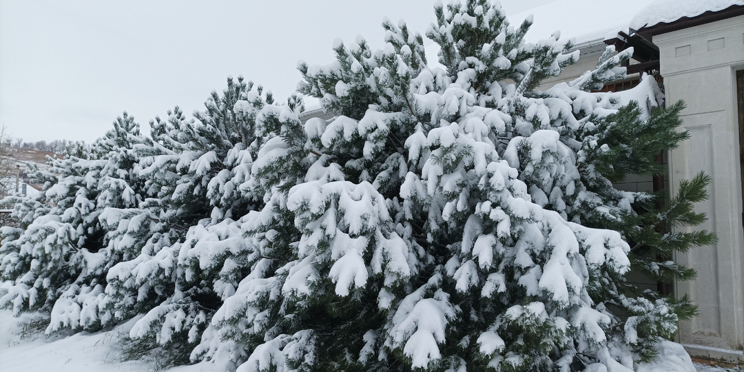 Штормовое предупреждение из-за обильного снегопада объявили на Ставрополье