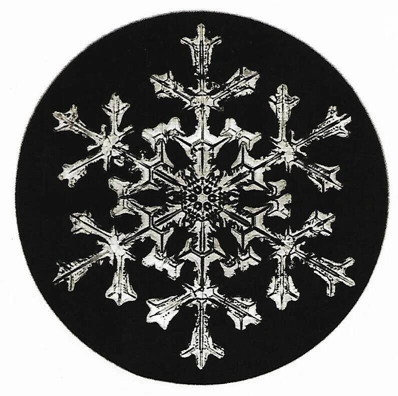 Изображение взято с сайта https://snowflakebentley.com