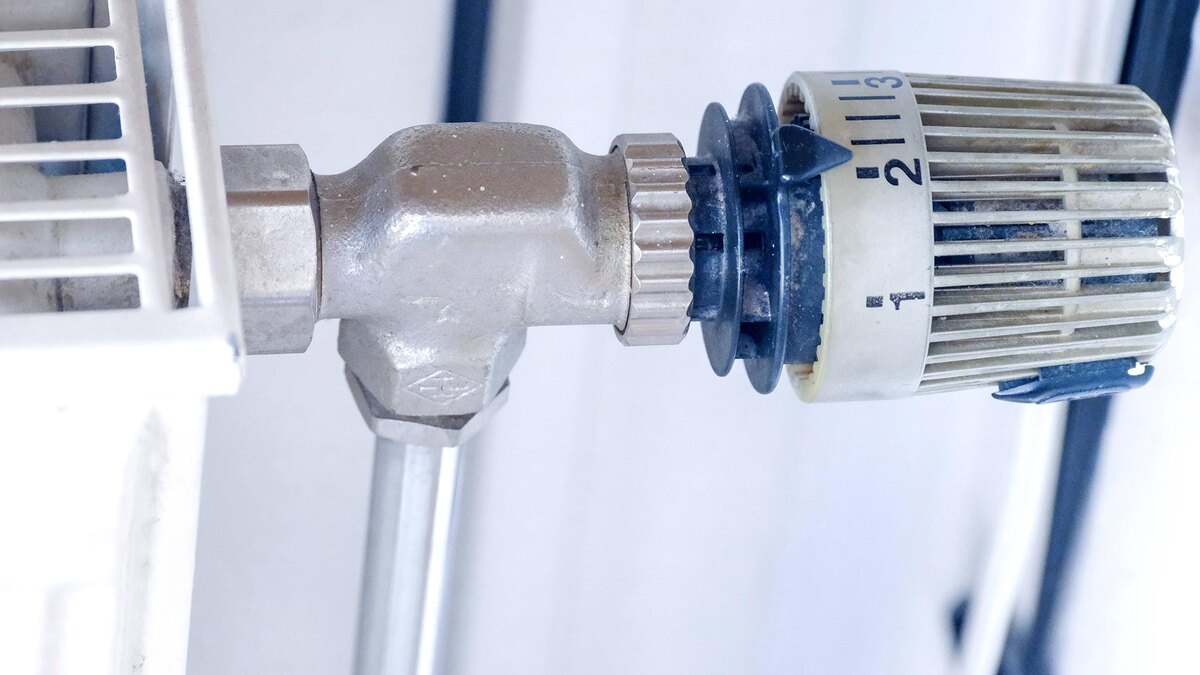    Фото: IMAGO/Michael Gstettenbauer/globallookpress.com