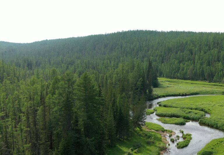    Фото: пресс-служба «Газпромнефть-Заполярья» Ольга Шмырева