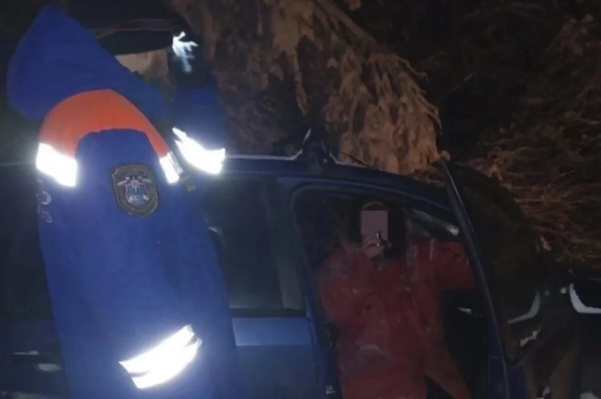    В Ленобласти спасли женщину, потерявшуюся в снежную бурю