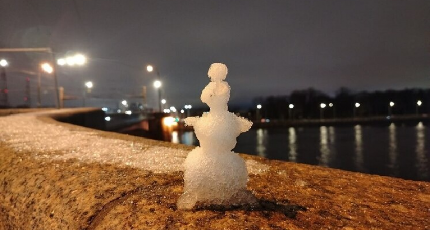    Фото: архив МК в Питере.