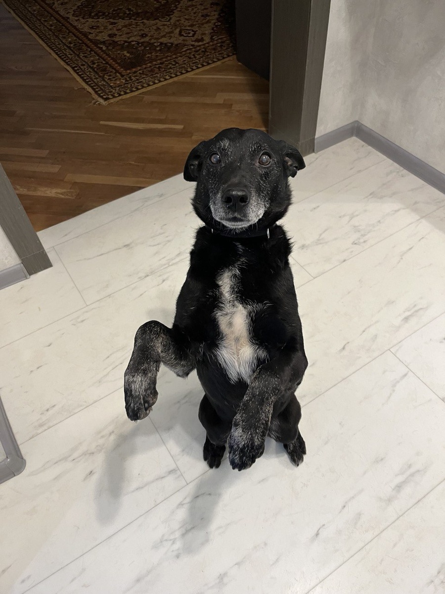 Машу всем лапкой и желаю всем такую мамулю, как у меня!