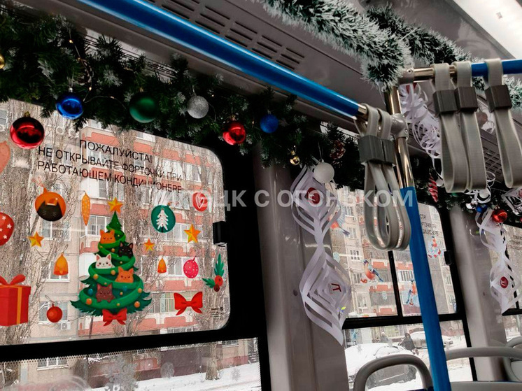     фото: телеграм-канал «Липецк с огоньком»