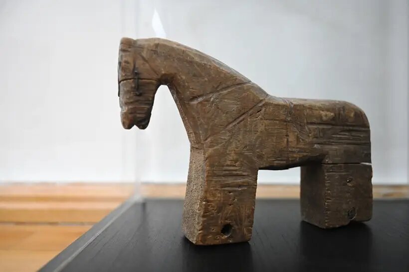     © Пресс-служба ТГУ. Владимир Костенков