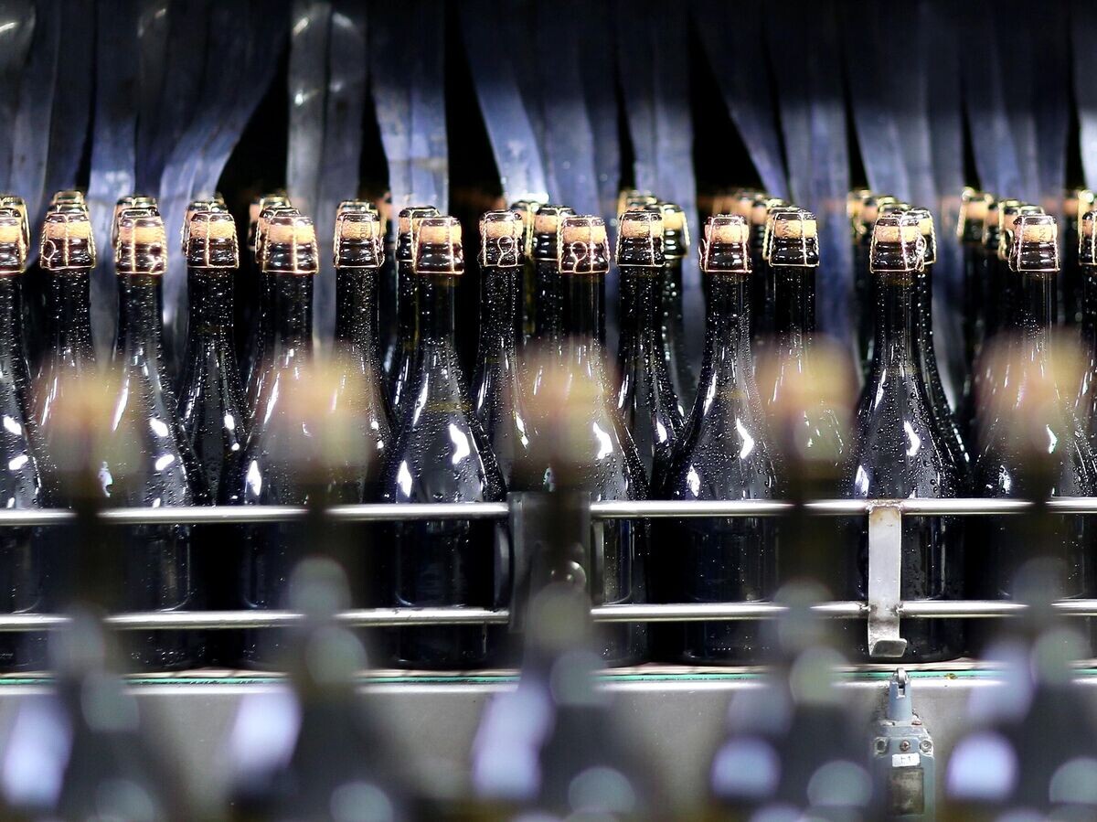    Цех розлива игристых вин на винодельческом предприятии "Фанагория" в Краснодарском крае© РИА Новости . Виталий Тимкив