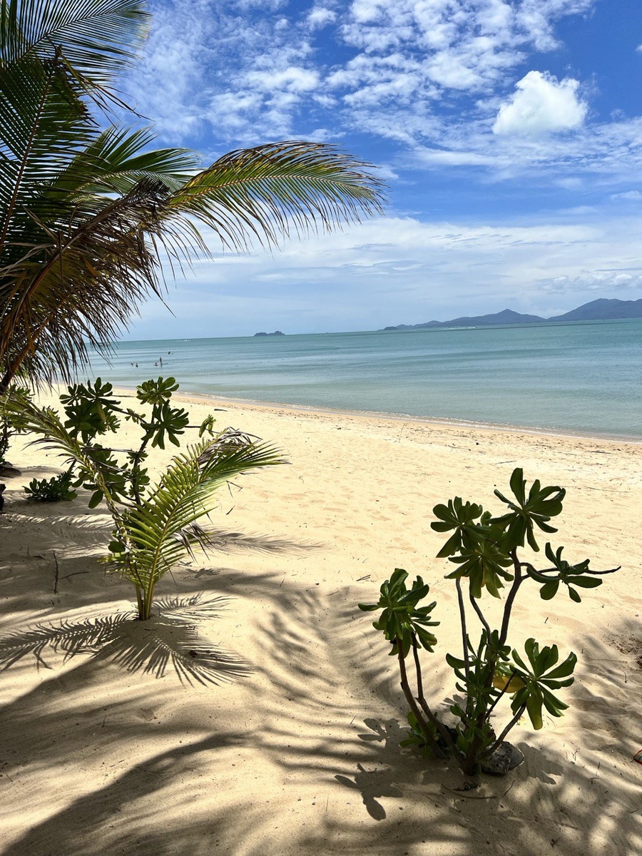 Пляжи Таиланда в марте (Самуи)