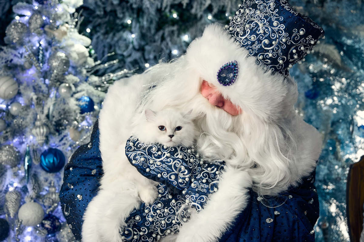 Фото из открытых источников интернет