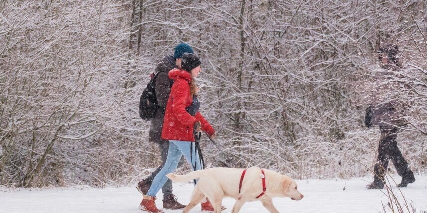    Алена Бобрович