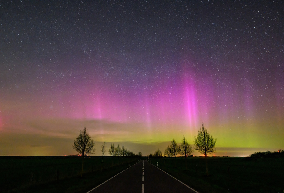    Patrick Pleul/dpa/Global Look Press