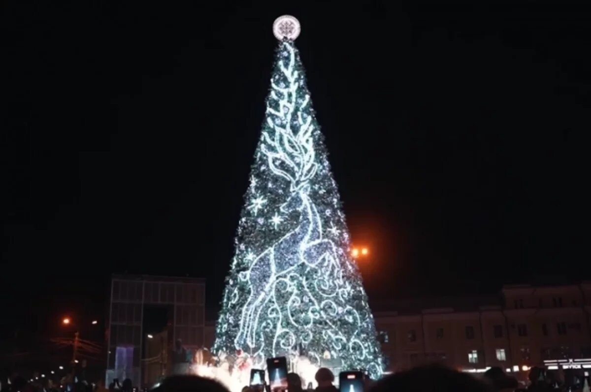    Несмотря на холод, в Якутске будет много развлечений на январские выходные
