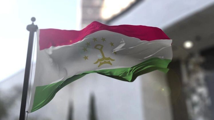    Фото: Postmodern Studio/Shutterstock/Fotodom