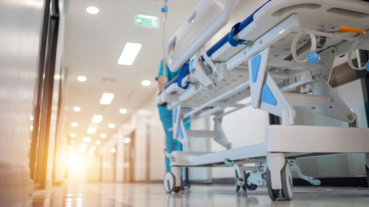    Фото: Sutipond Somnam/Shutterstock/Fotodom