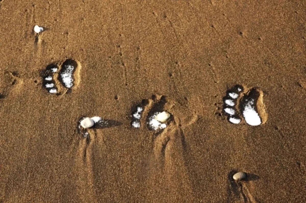    Архивное фото