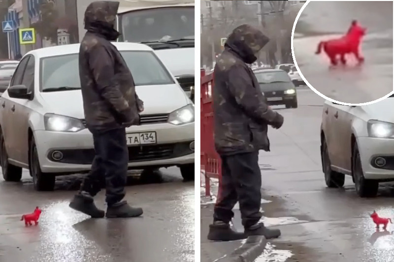    Скриншоты видеозаписи паблика «Жесть. Камышин»