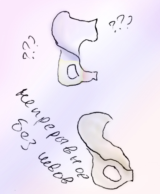 Половинка таза состоих из трёх костей - подвздошной, лонной и седалищной, которые срастаются в одну крепкую конструкцию. 