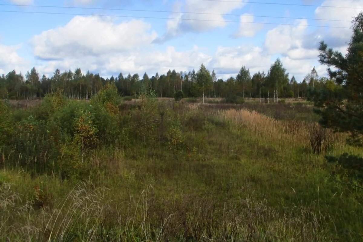    Москвича оштрафовали за зарастание земли в Смоленской области