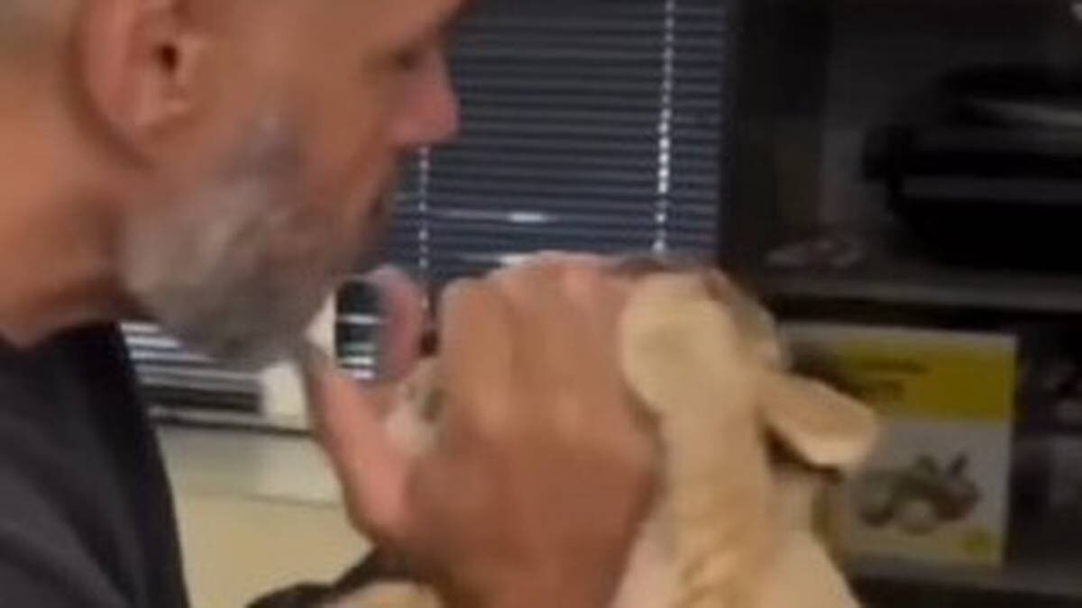    Фото: Скриншот видео / 112/Telegram