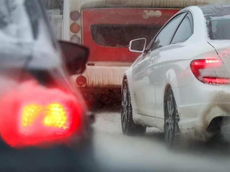     Фото: Elena Mayorova/Global Look Press