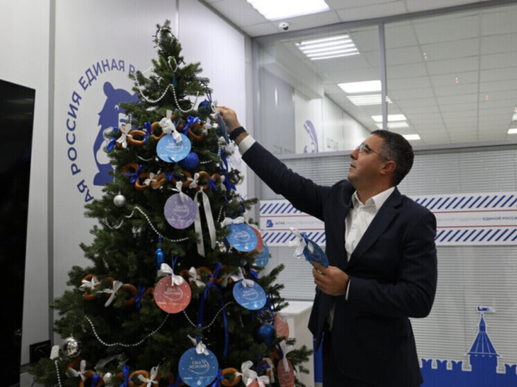     Фото: Тульская городская Дума