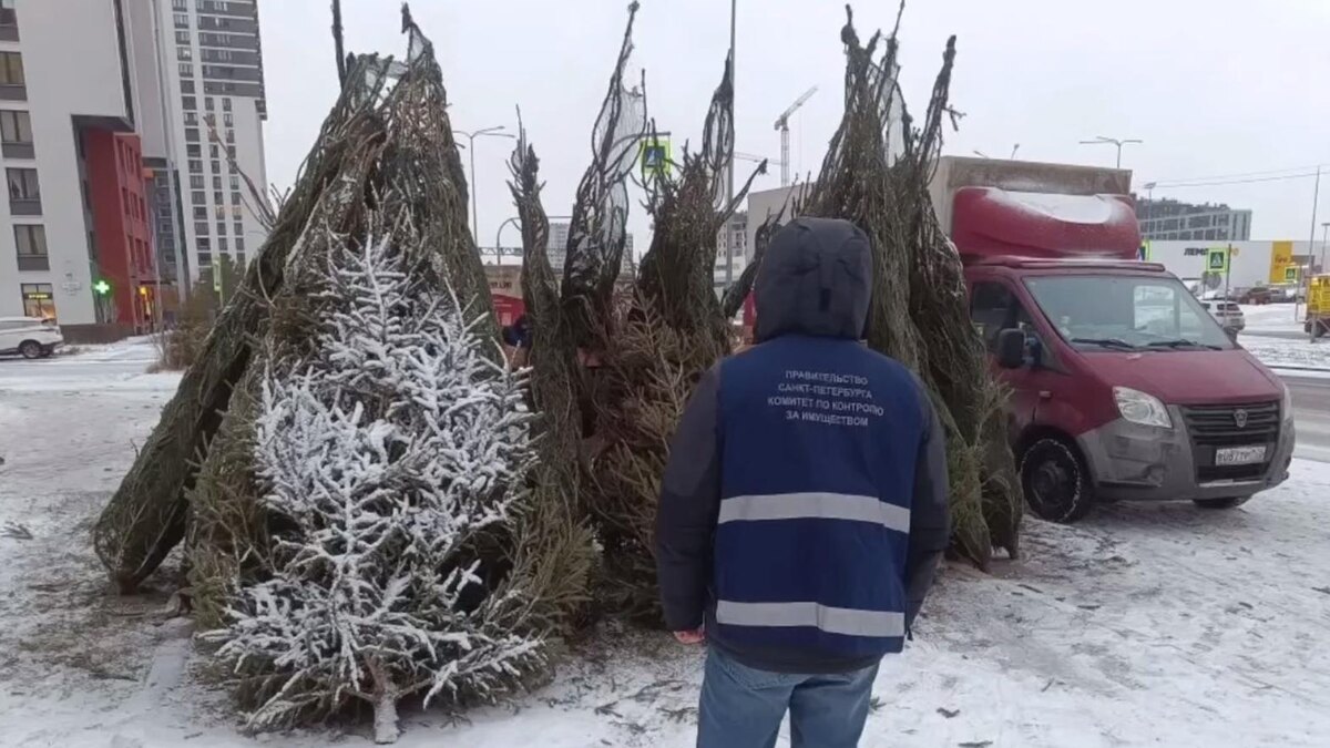    Фото: t.me/kkispb