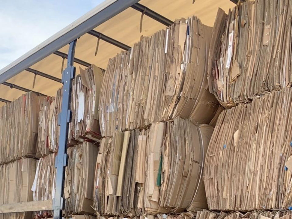    Фото: Министерство по содержанию территорий и государственному жилищному надзору МО