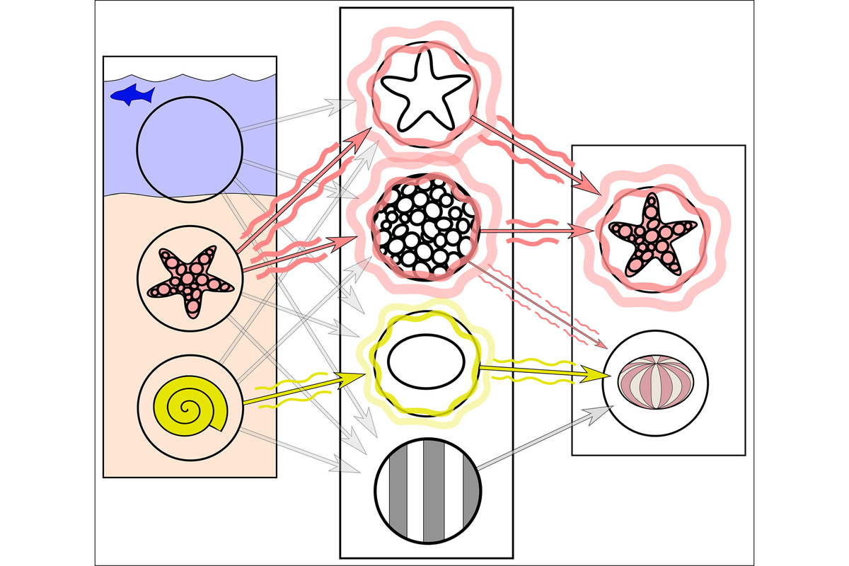Слева – вход (изображение, которое мы загружаем в ИИ), в центре – анализ, справа – вывод