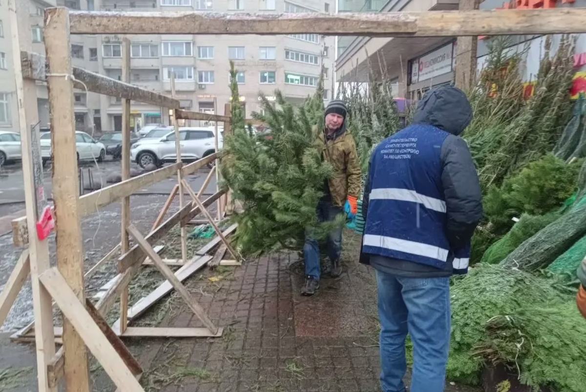 Фото: скриншот из видео