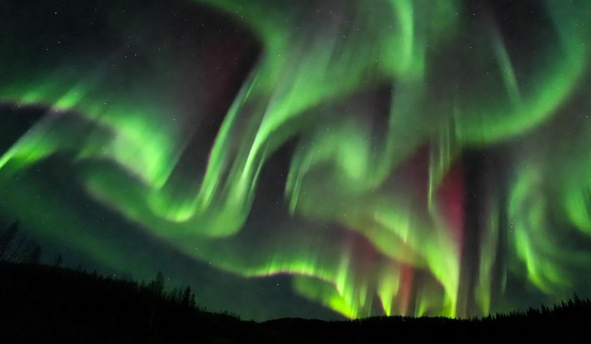 Фото: сгенерировано нейросетью / Ветренко Александра