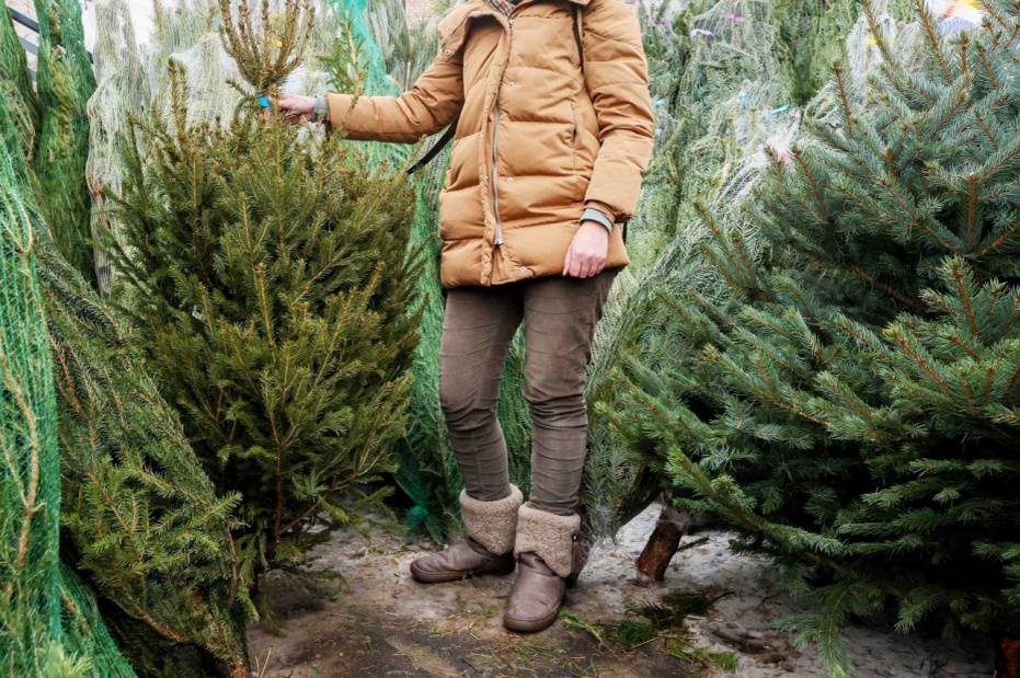    Алексей Белкин/NEWS.ru