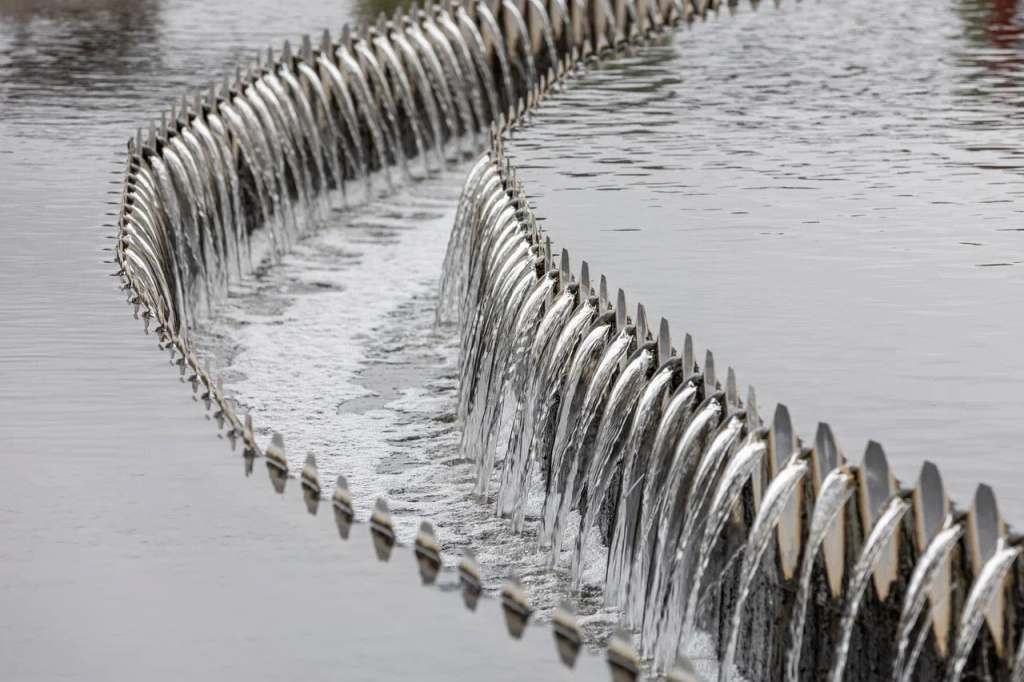    5375398544908422826 (1).jpg