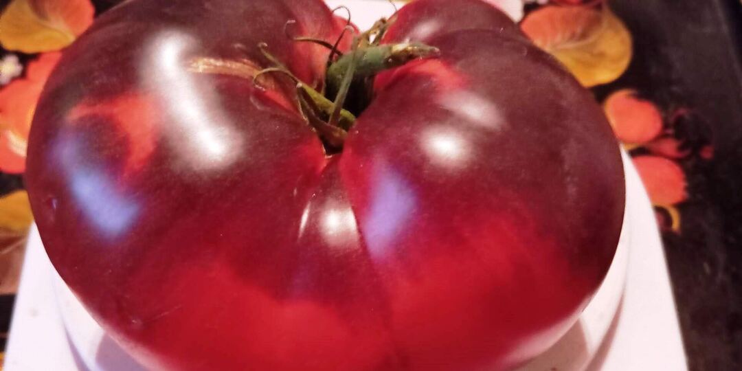 Польза томатов с антоцианом: научный взгляд