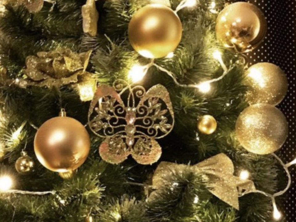    Фото: REGIONS/Людмила Матвиенко