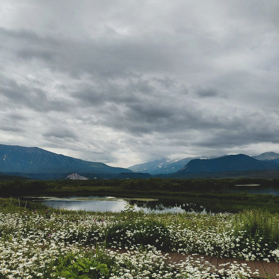 Южно-Камчатский федеральный заказник