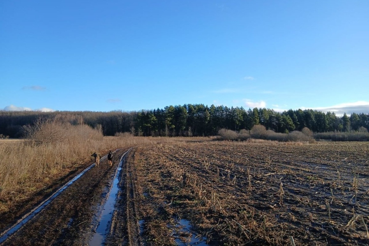   предоставлено пресс-службой Комитета РТ по охране ОКН