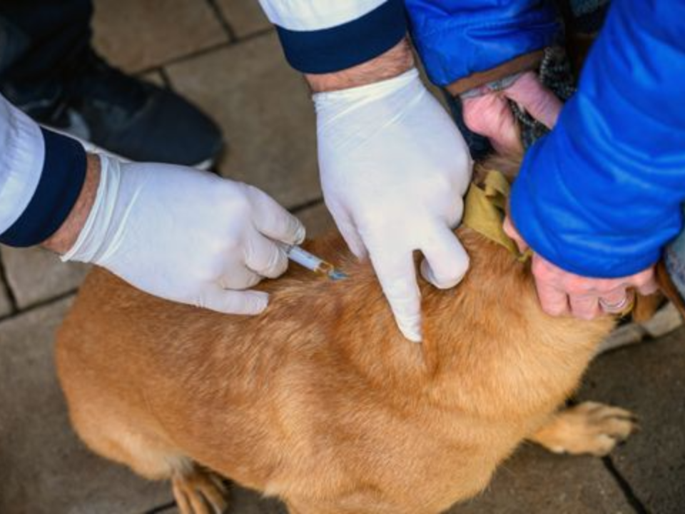    Фото: медиасток.рф